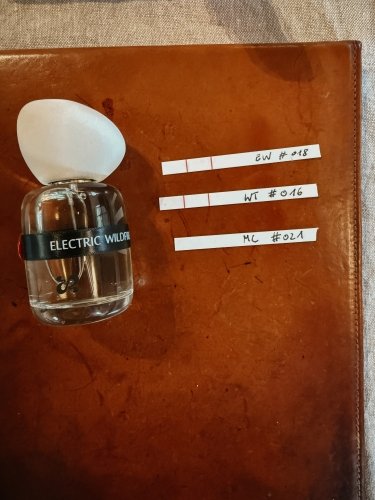The Refill Label x Luisa Jo: Electric Wildfire eau de Parfum